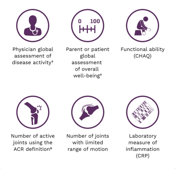 JIA ACR response criteria consist of 6 core components
