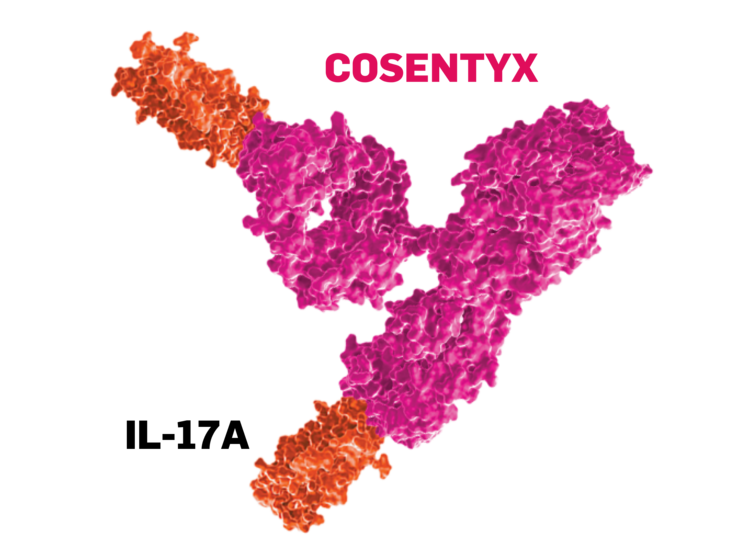 IL-17A molecule and COSENTYX molecule