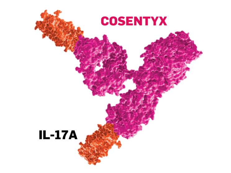IL-17A molecule and COSENTYX molecule